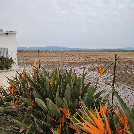 Caseta Del Chato Deltebre Buitenkant foto